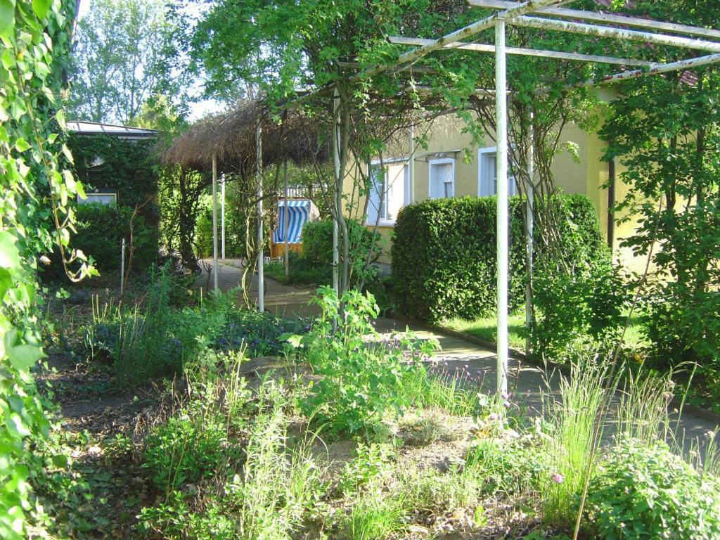 Landhotel Kiebitzort Ruegen Ummanz Esterno foto